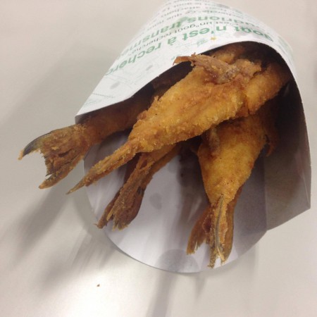 12516686_844317209028386_814532334_o