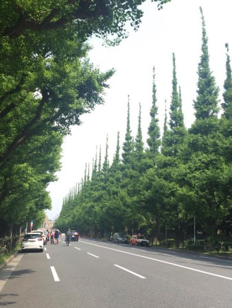 13138936_563079443852500_2603469219675640906_n