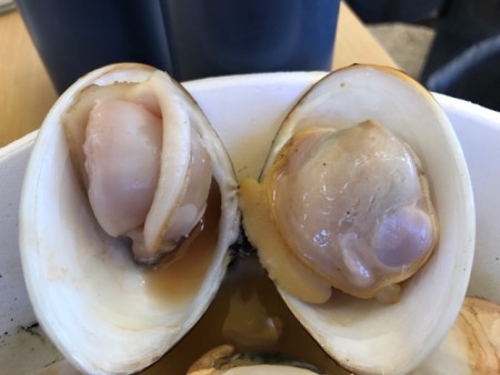 千葉のかき小屋木更津ホンビノス、ハマグリ