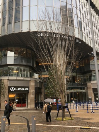 12B0D488-287D-40F1-9F8F-D55134A30964