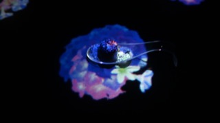 505A3E8E-5881-4780-9259-E882CB32D1A5