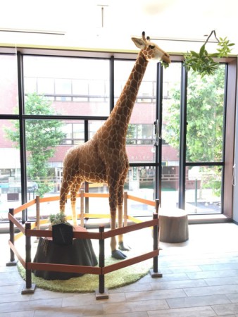 04A72894-97B9-4D15-B17A-E3CA055733AB